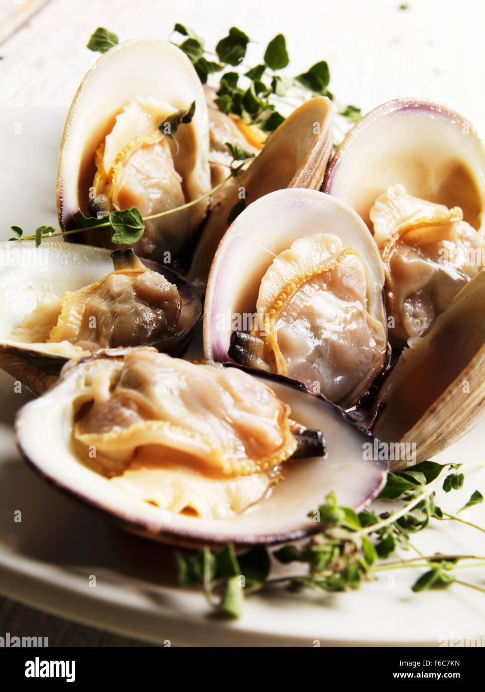 Steamed Middle Neck Clams with Sprigs of Fresh Oregano Stock Photo Alamy