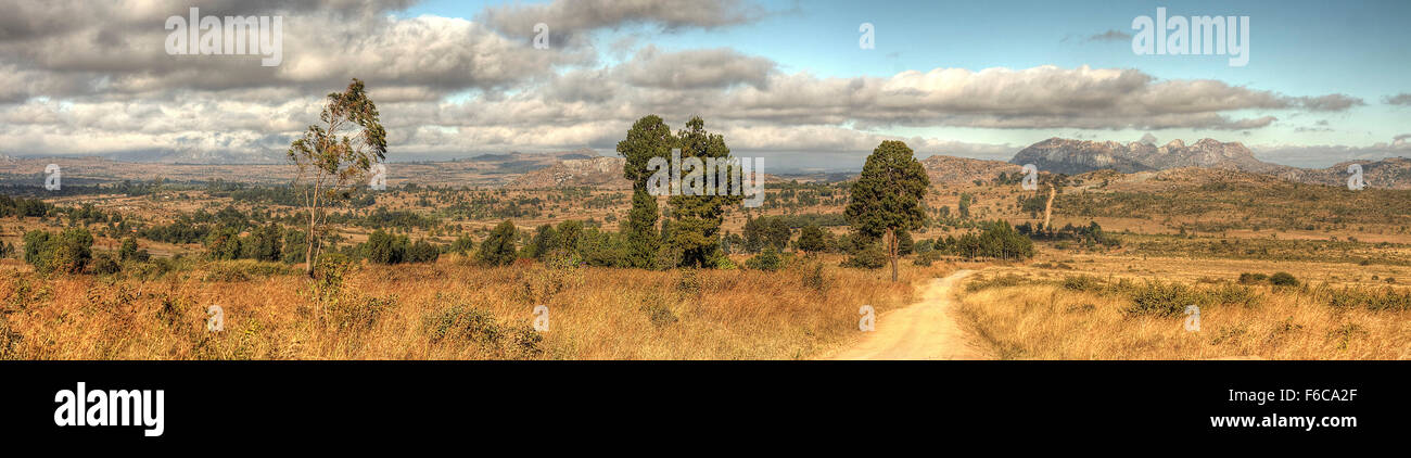 A dirt road leading through a cleared plantation in Chongoni Forest, Dedza, Malawi, Africa Stock Photo
