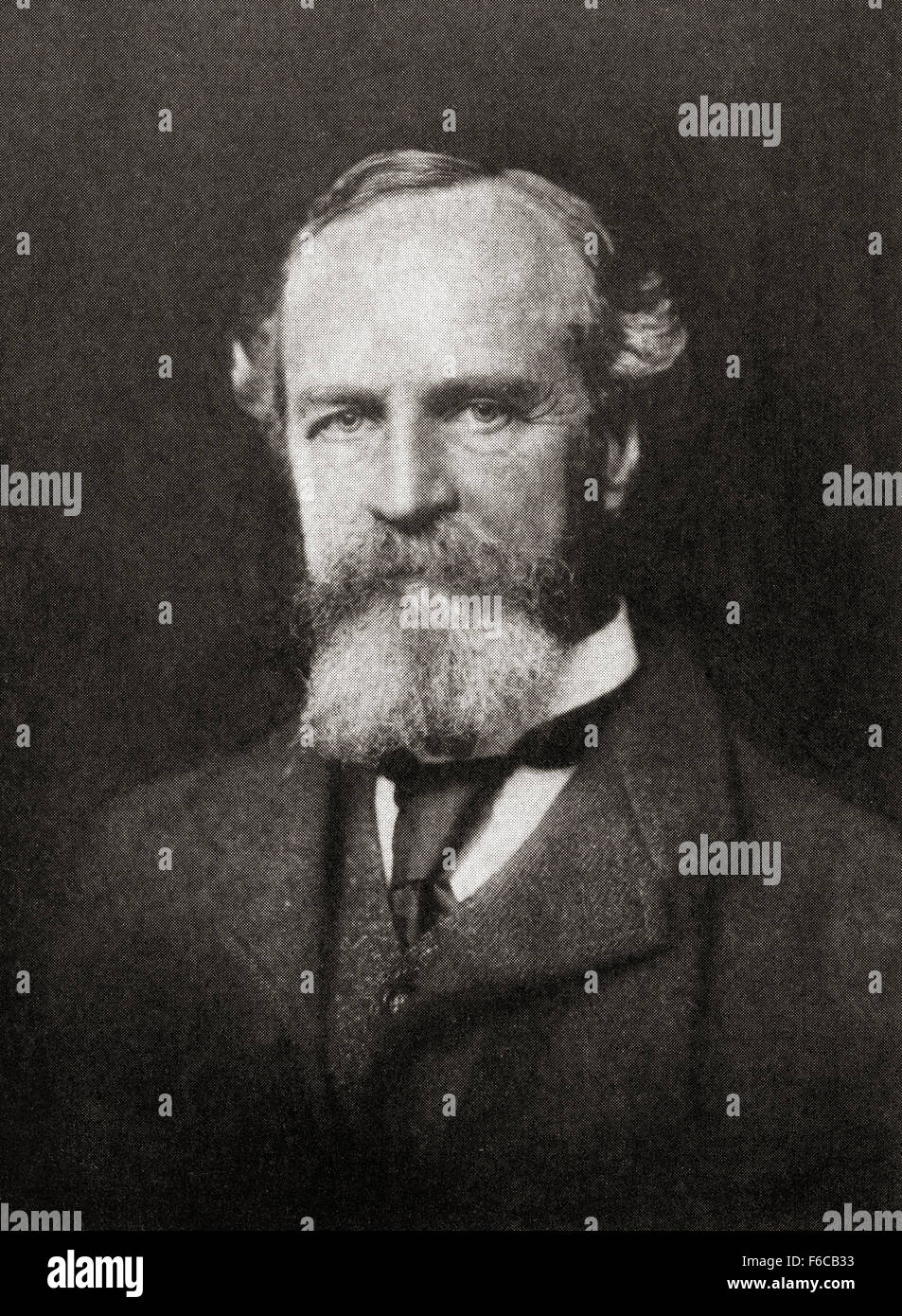 William James, 1842 1910. American philosopher and psychologist Stock
