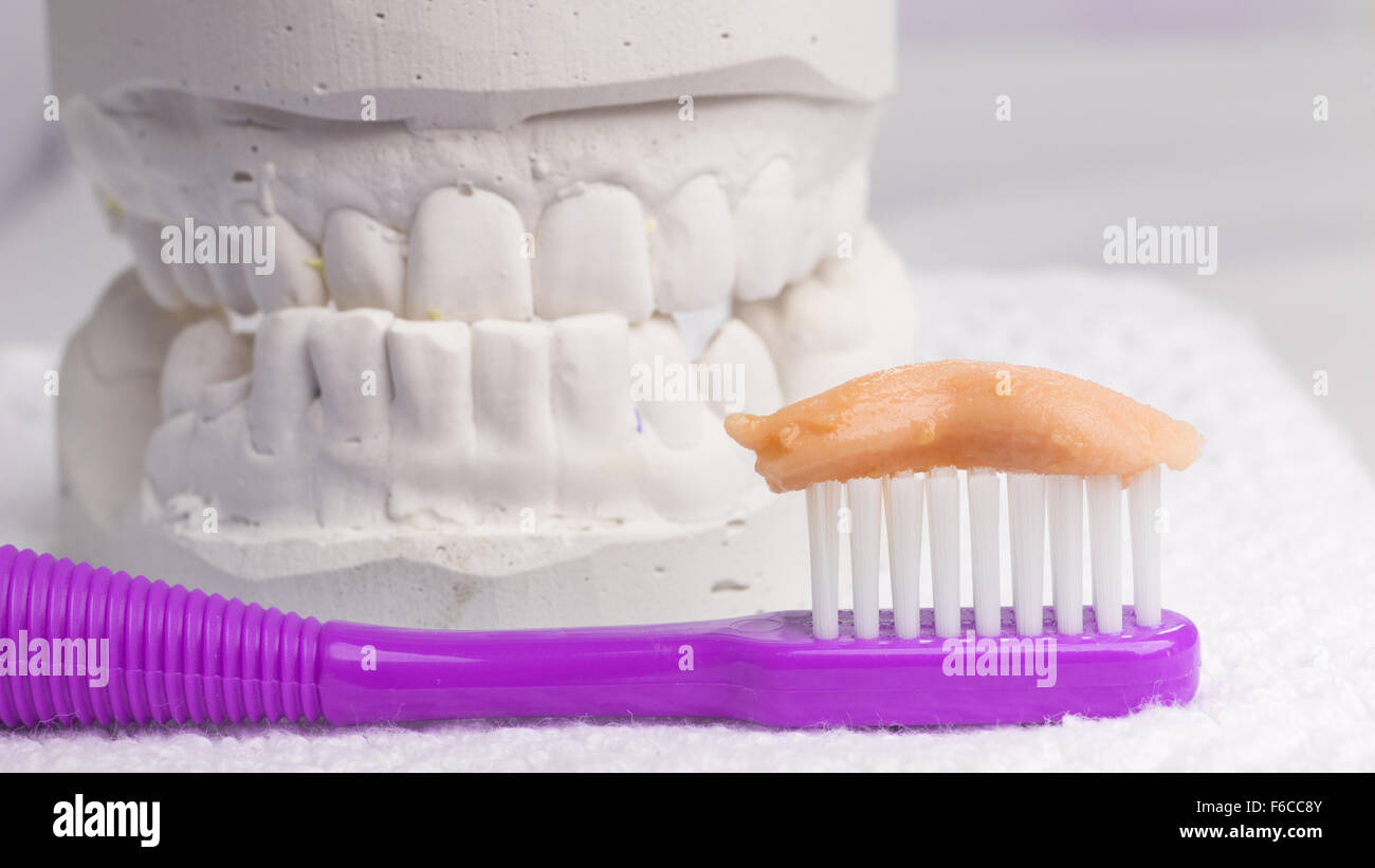 Plaster Toothpaste Dental casting gypsum plaster model hi-res stock photography and images ...