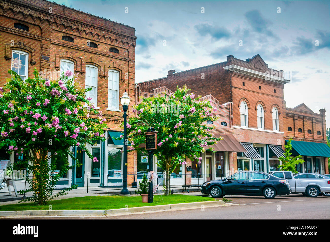 Americana Small town Southern downtown landmark buildings renovated historical shopping district flowering trees, Bolivar, TN Stock Photo