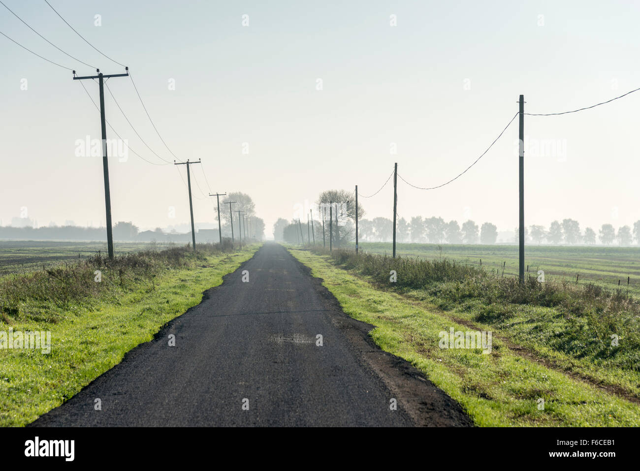 A straight road in the Cambridgeshire Fens lined with telegraph poles Stock Photo