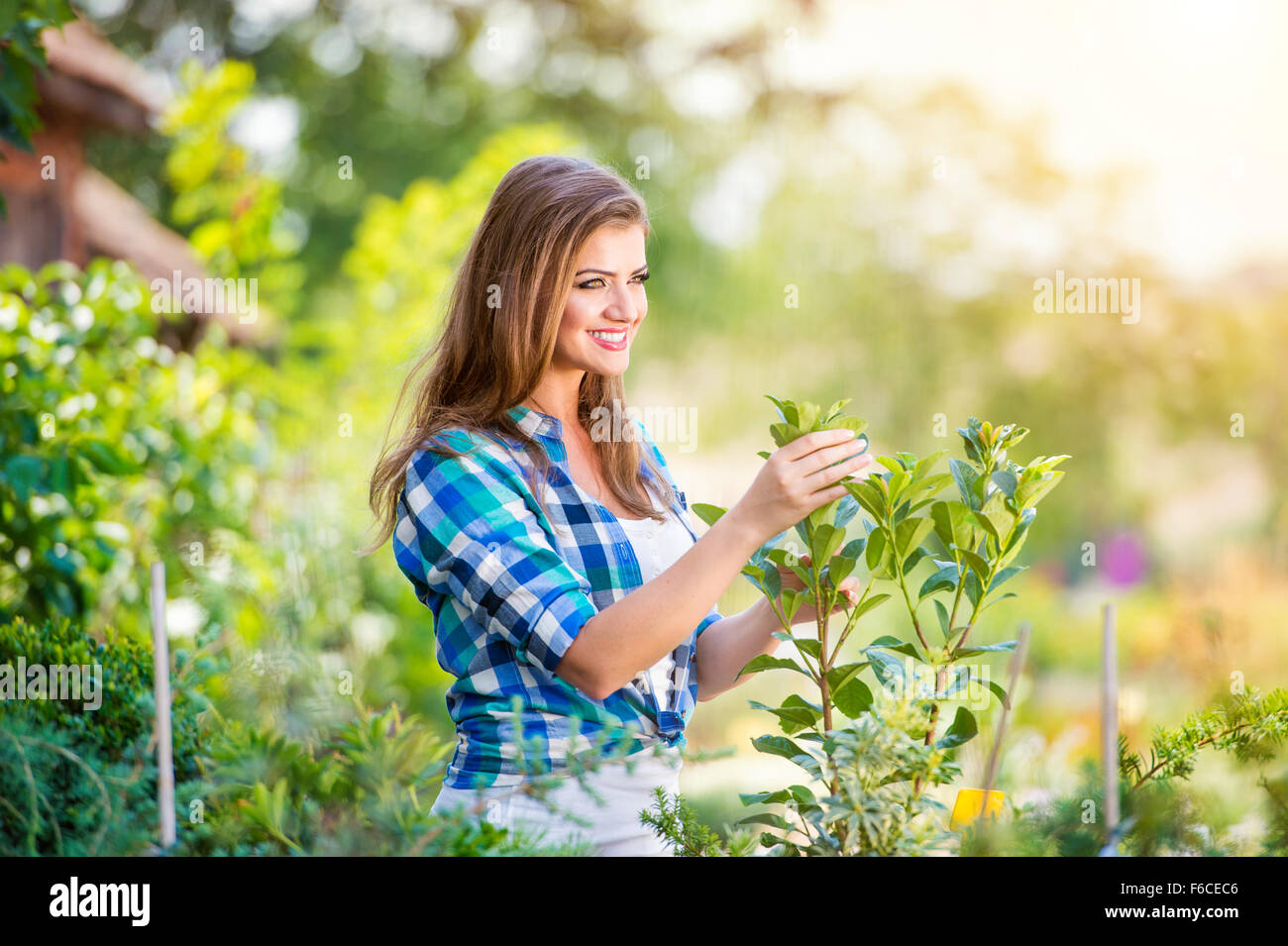 Beautiful young woman gardening Stock Photo - Alamy