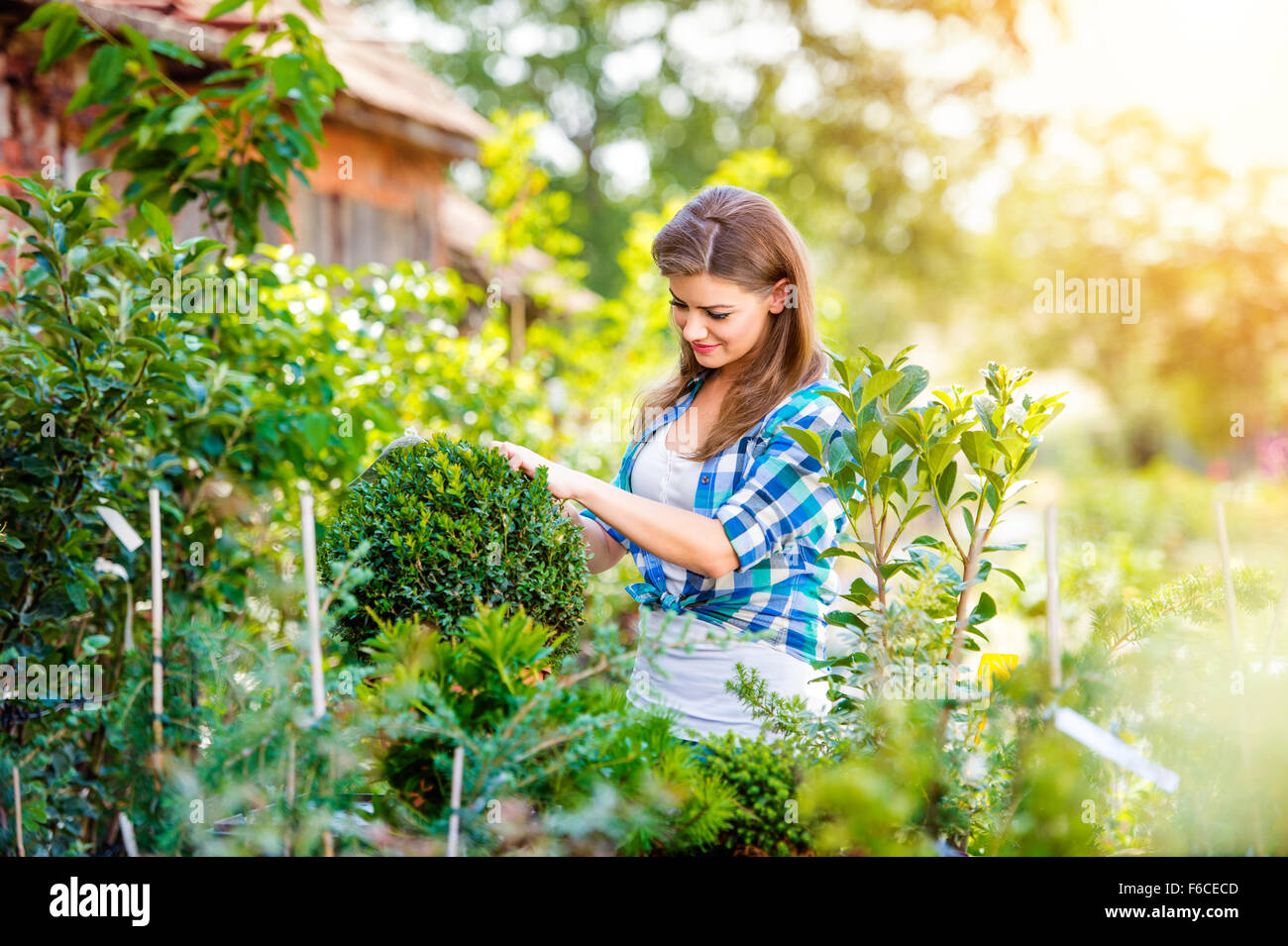 Beautiful young woman gardening Stock Photo - Alamy