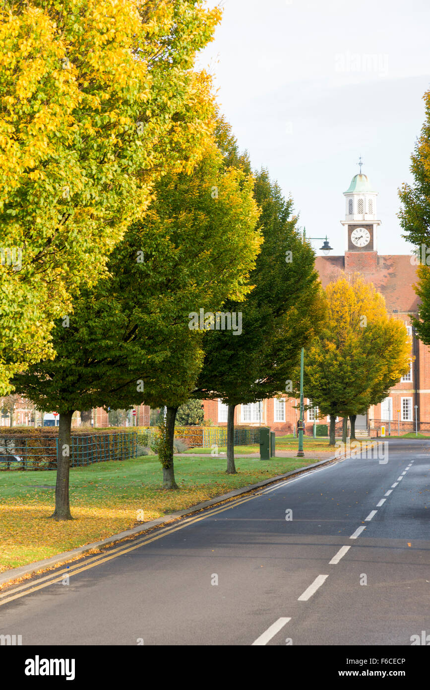 A tree lined road in Letchworth Garden City Hertfordshire UK Stock Photo