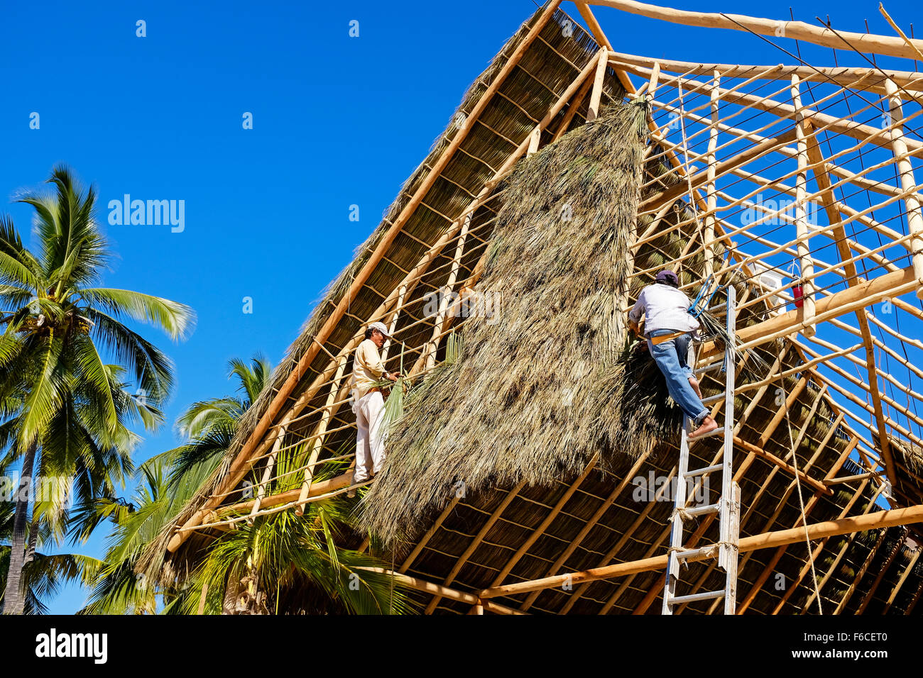 Men constructing a building using bamboo and wooden frame and covered with palm leaves and grass, Puerto Vallarta, Mexico Stock Photo