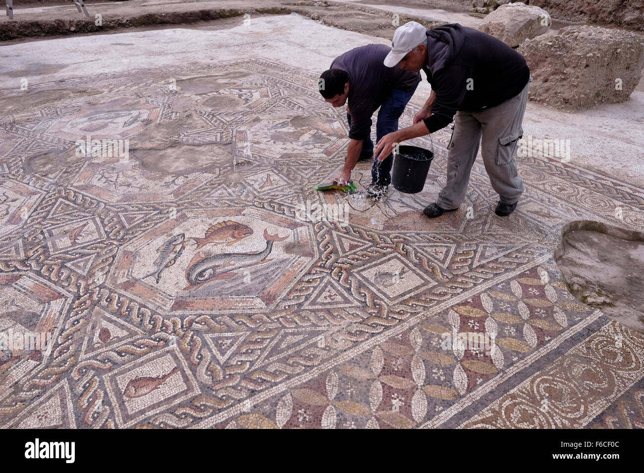 Workers of the Israel Antiquities Authority clean a 1,700 year old mosaic, which served as pavement for the courtyard in a villa during the Roman and Byzantine periods in the Israeli central city of Lod Israel Stock Photo