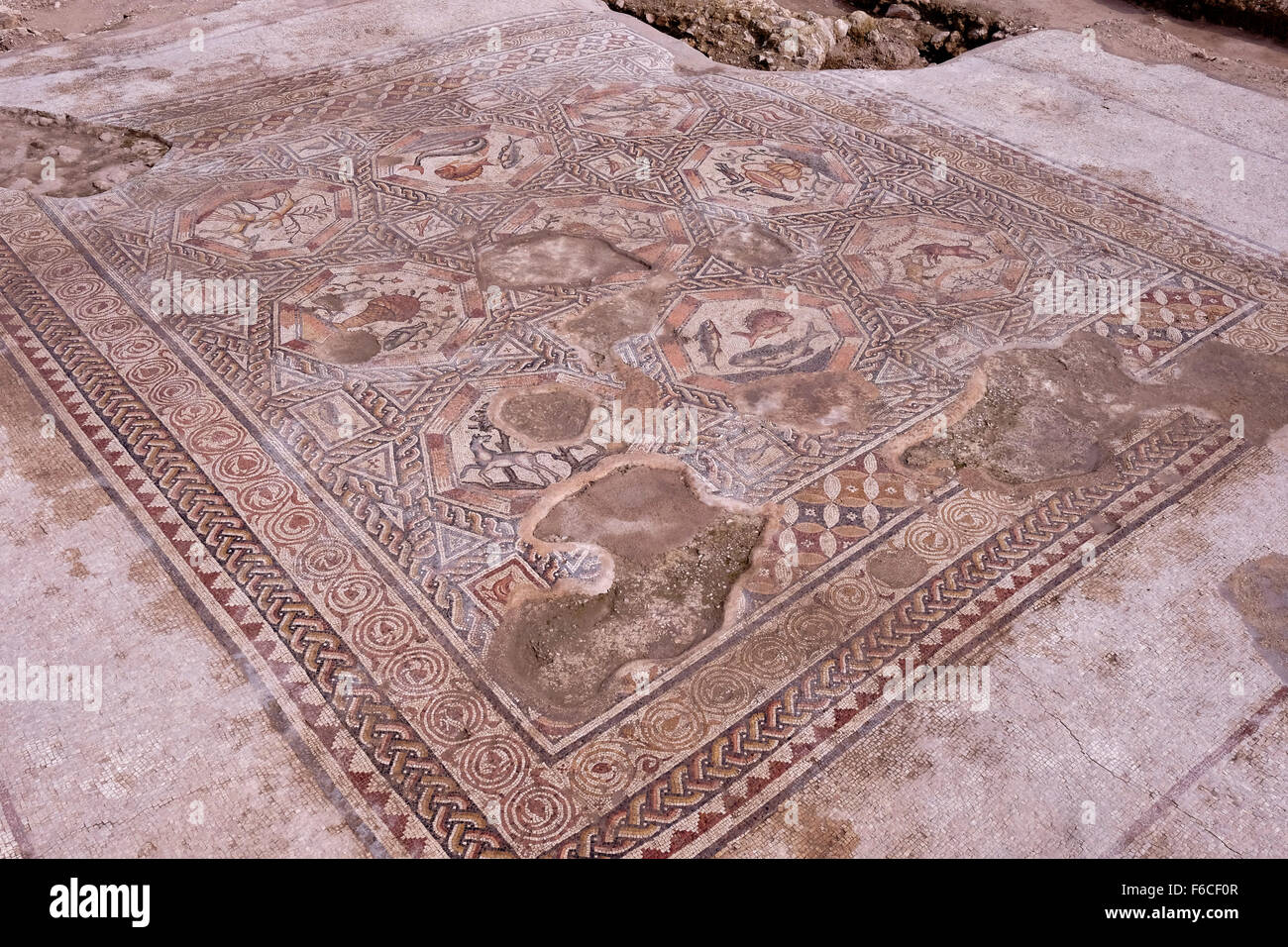 A 1,700 year old mosaic, which served as pavement for the courtyard in a villa during the Roman and Byzantine periods in the Israeli central city of Lod Israel Stock Photo