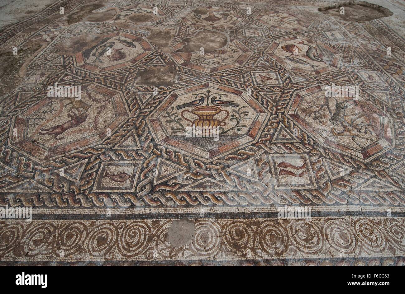 (151116) -- LOD (ISRAEL), Nov. 16, 2015 (Xinhua) -- Part of a 1,700-year-old mosaic is seen in Lod, a city east of Tel Aviv in central Israel, on Nov. 16, 2015. Israel's Antiquities Authority unveiled Monday a Roman-era floor mosaic, which was unearthed last year during constructions of a visitor center meant to exhibit another mosaic discovered two decades ago in the same place. Archaeologists said that the 'breathtaking' mosaic served as a floor of a villa's living room some 1,700 years ago. (Xinhua/Li Rui) Stock Photo