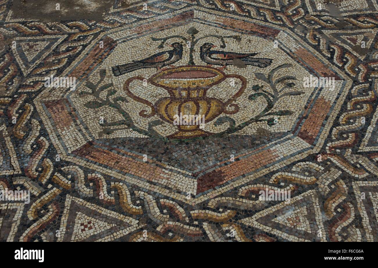 (151116) -- LOD (ISRAEL), Nov. 16, 2015 (Xinhua) -- Part of a 1,700-year-old mosaic is seen in Lod, a city east of Tel Aviv in central Israel, on Nov. 16, 2015. Israel's Antiquities Authority unveiled Monday a Roman-era floor mosaic, which was unearthed last year during constructions of a visitor center meant to exhibit another mosaic discovered two decades ago in the same place. Archaeologists said that the 'breathtaking' mosaic served as a floor of a villa's living room some 1,700 years ago. (Xinhua/Li Rui) Stock Photo