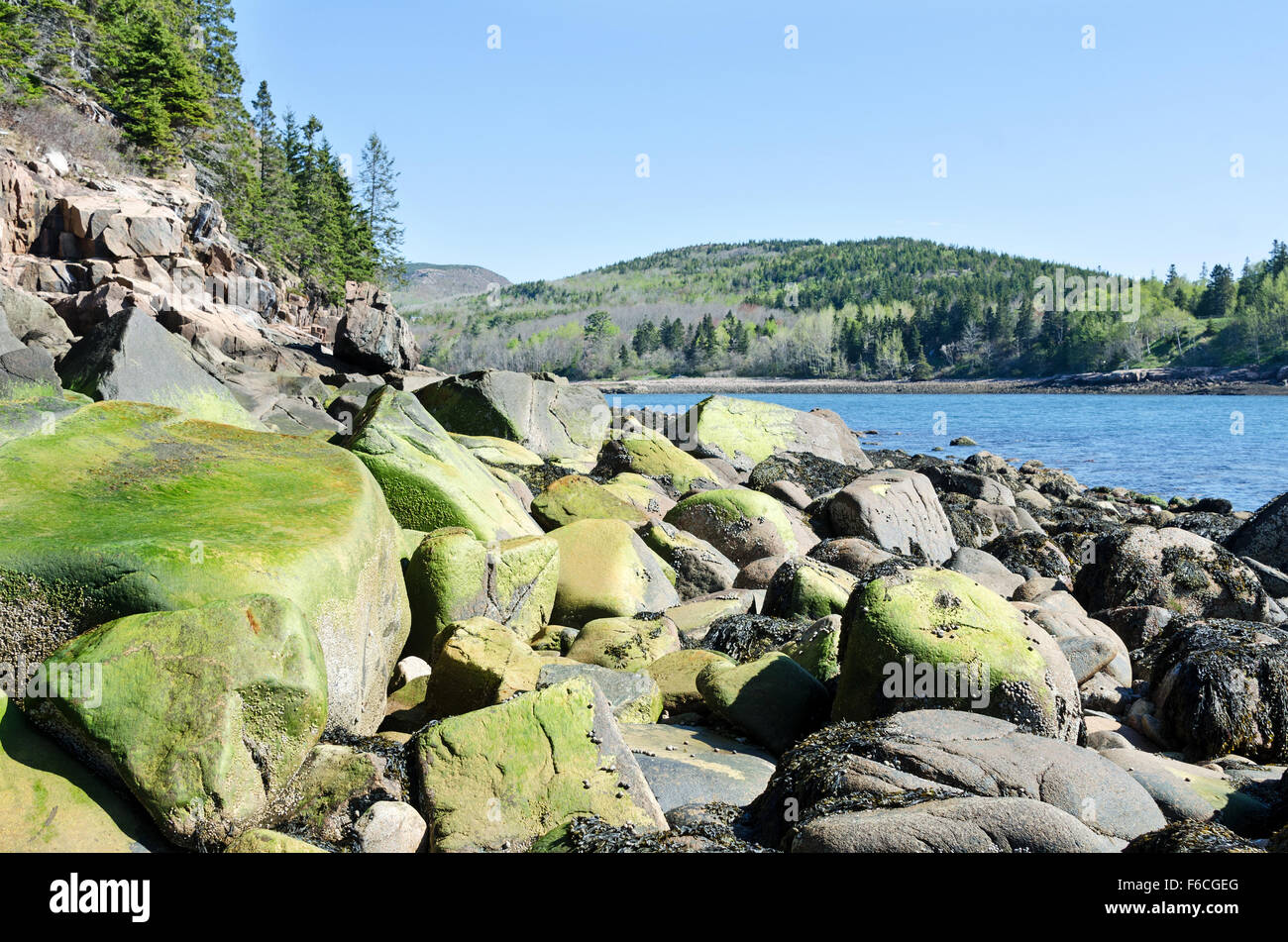 Early spring in Otter Cove, looking toward Gorham Mountain, Acadia National Park, Maine. Stock Photo