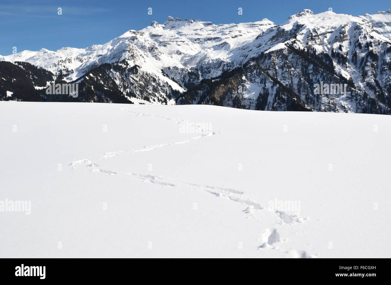 Winter in the Swiss Alps Stock Photo - Alamy