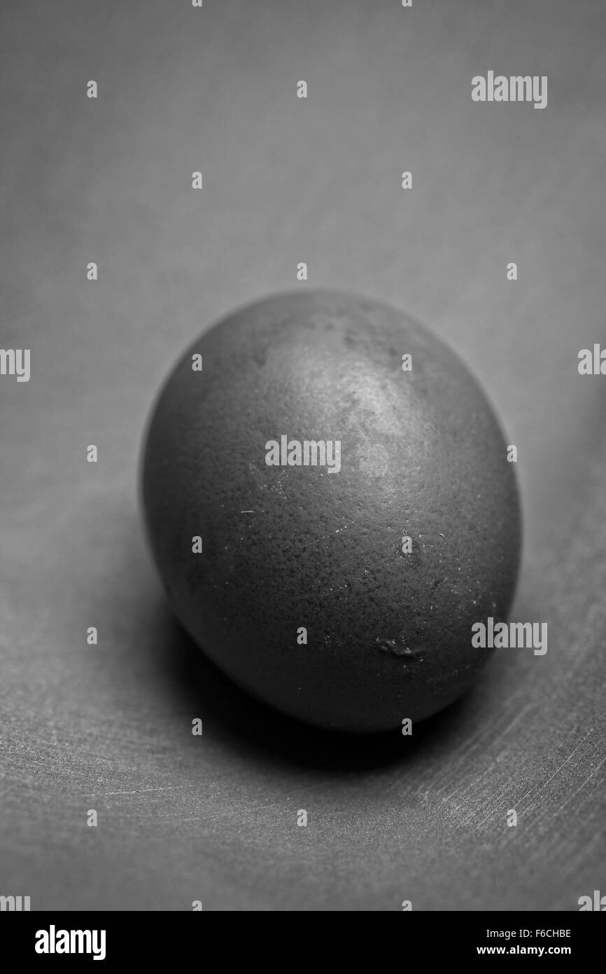 A single farm fresh brown egg in black and white. Stock Photo