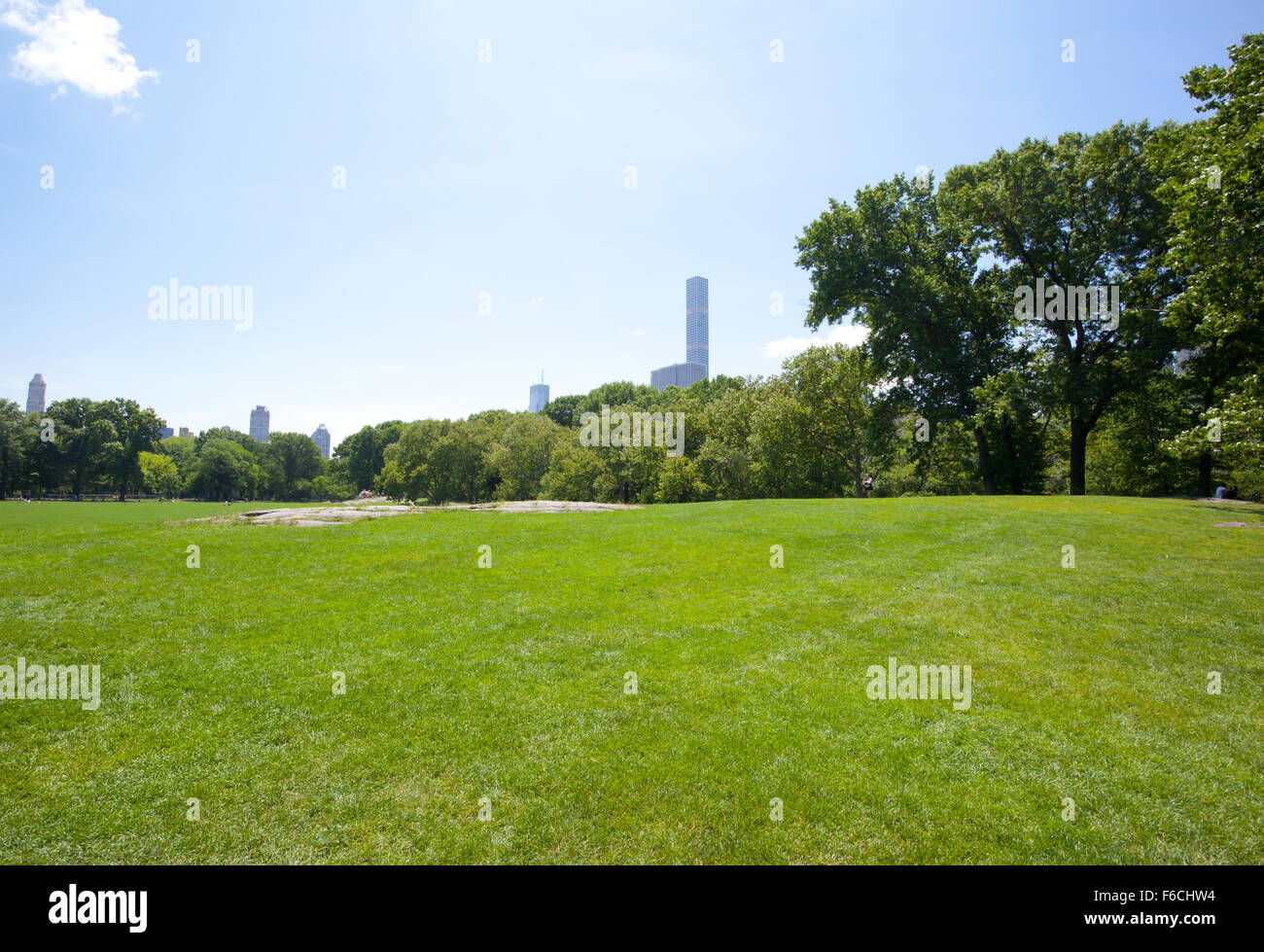 Manhattan new york city park spring tree grass hi-res stock photography ...