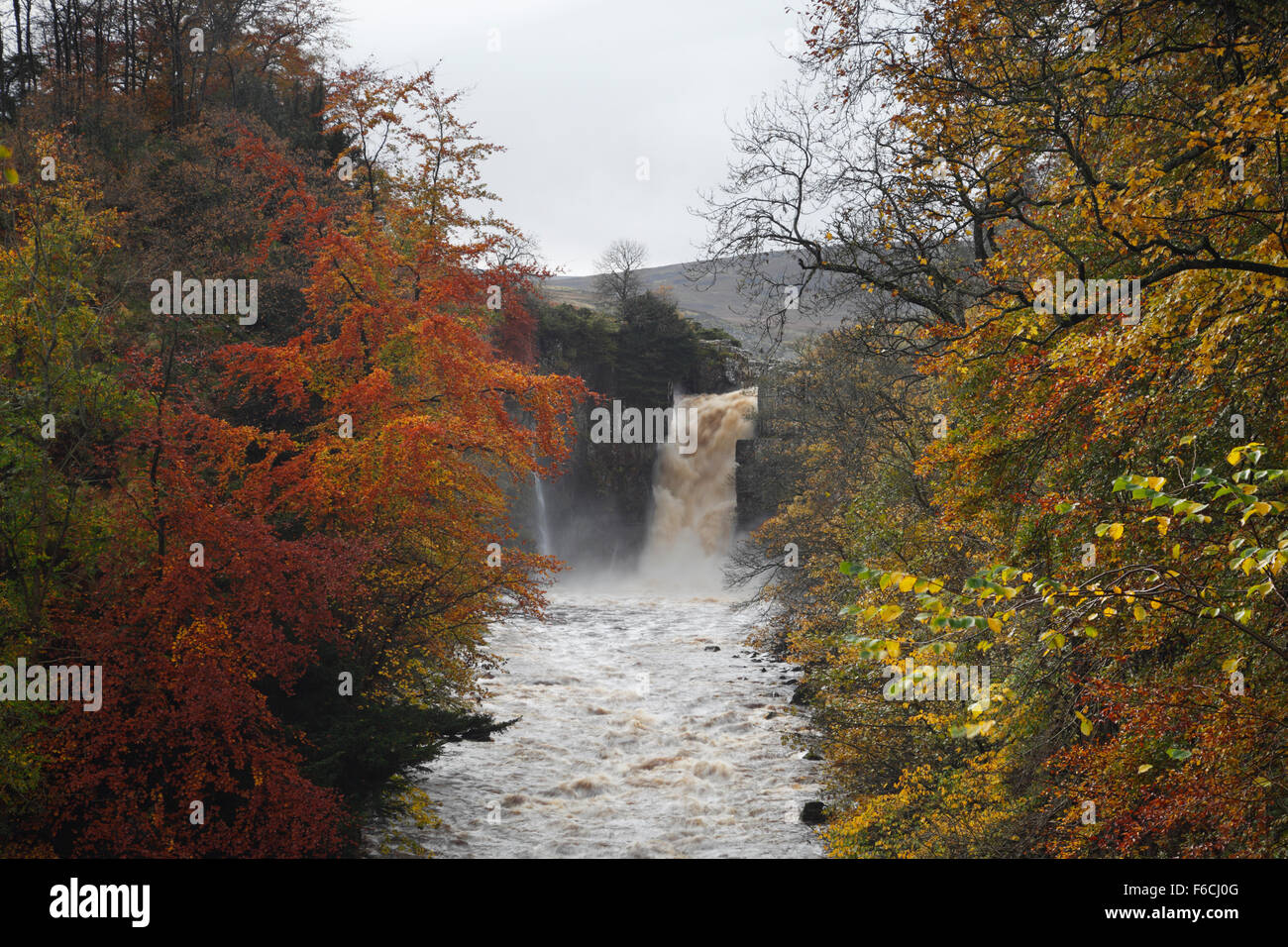 High Force waterfall on the River Tees, Teesdale. County Durham. England. UK. Stock Photo