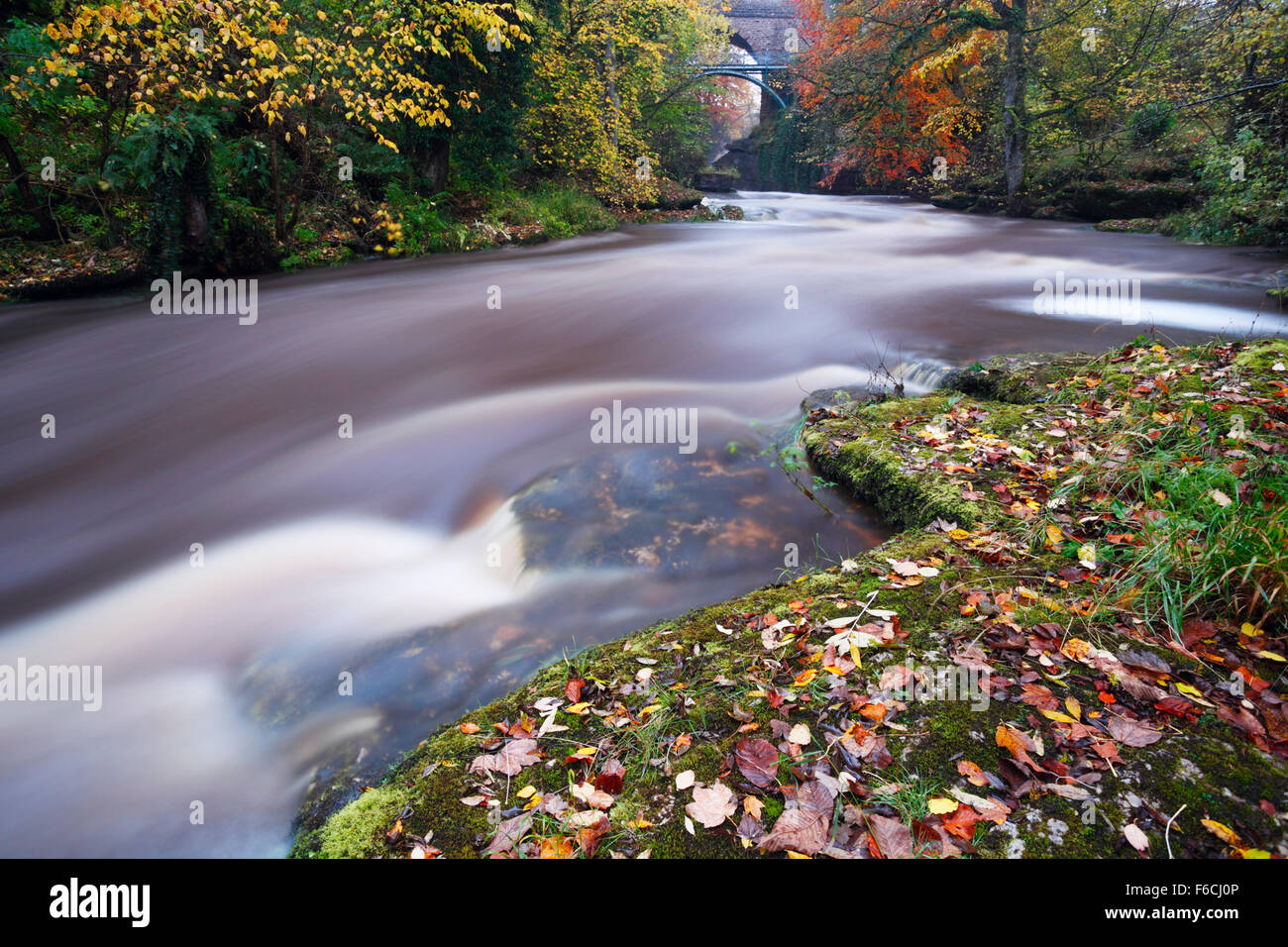 River Eden at Stenkrith Bridge, Kirkby Stephen. Eden Valley. Cumbria