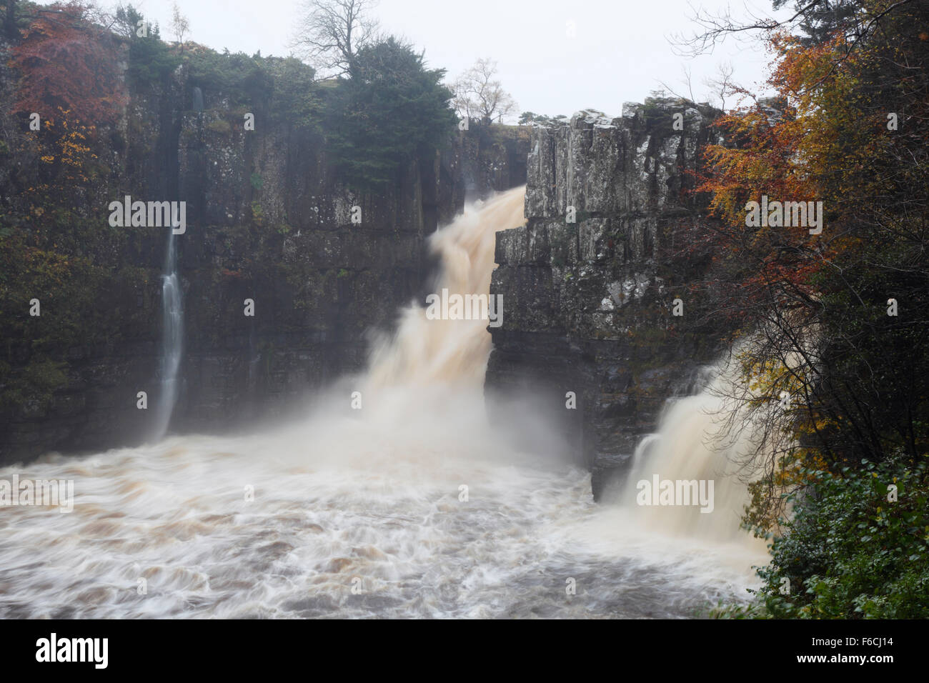 High Force in full flow during heavy rainfall on the River Tees. Teesdale. County Durham. UK. Stock Photo