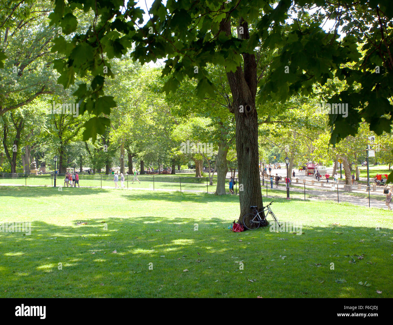 Central park at sunny day, New York City Stock Photo - Alamy