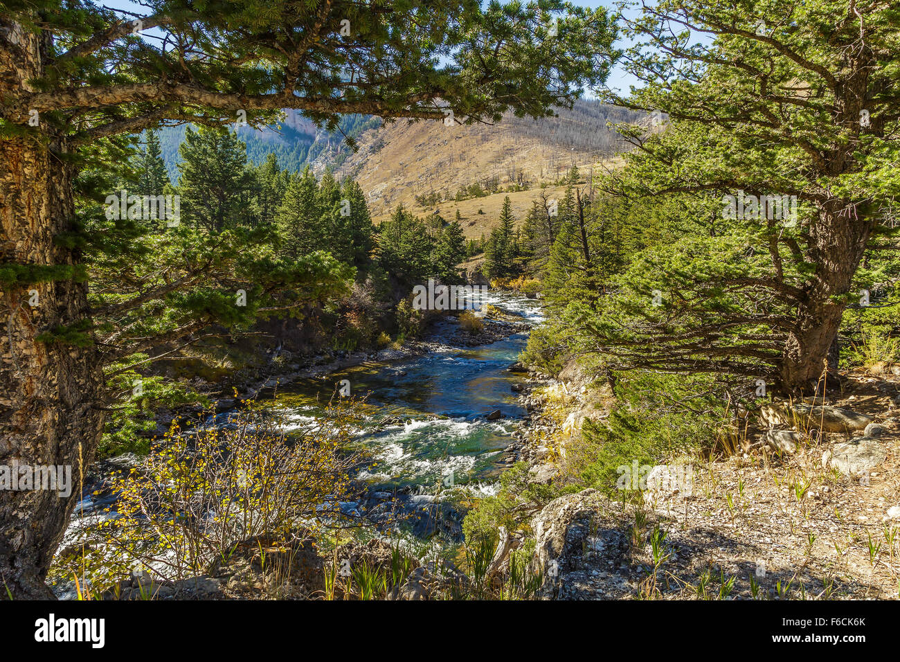 The Boulder river flowing through Natural Bridge State Park in McLeod