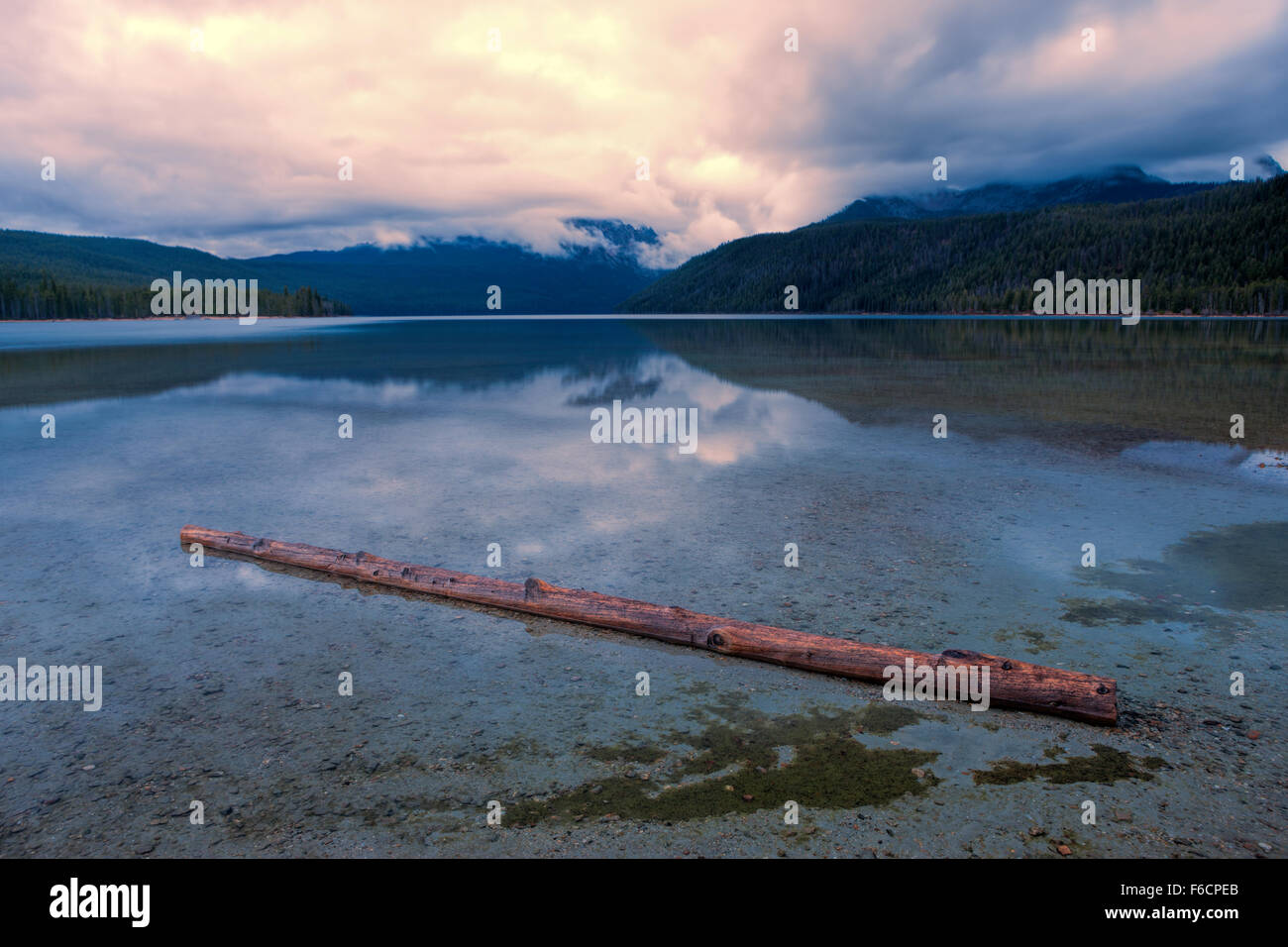 Log in the shallow lake Stock Photo Alamy
