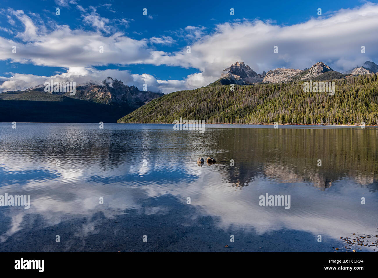 Beautiful Redfish Lake Stock Photo Alamy