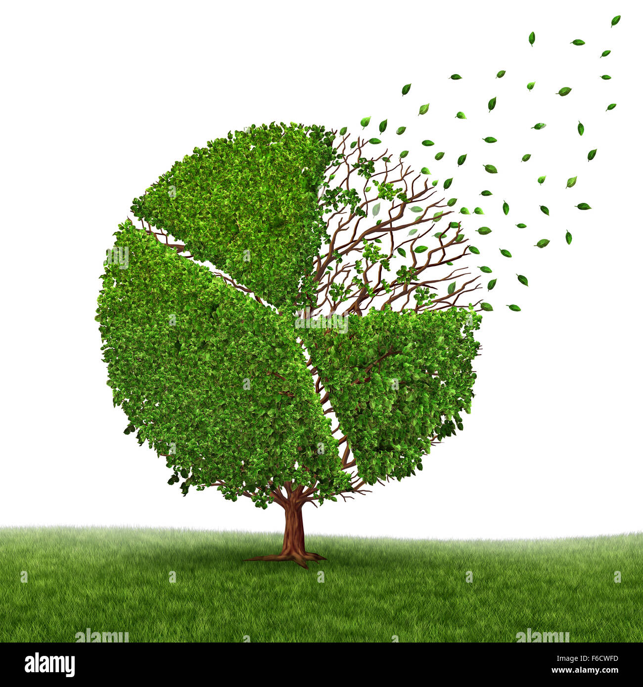 Financial market loss and losing profit as a pie chart in a tree growing green leaves falling off as a business concept of competition pressure as a corporate graph symbol of economic challenges and change on a white background. Stock Photo