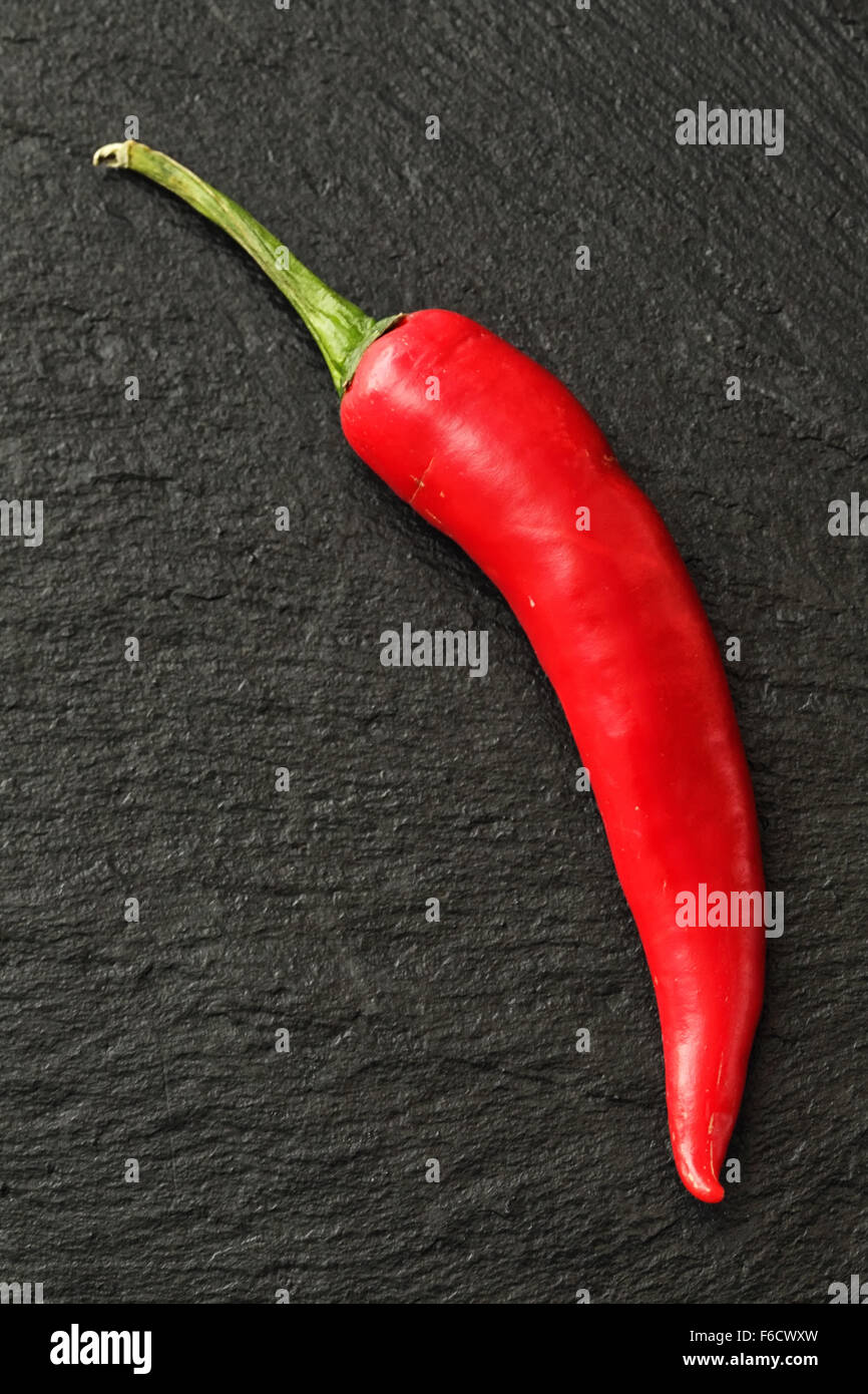 Red Chili on a black slate background. Stock Photo