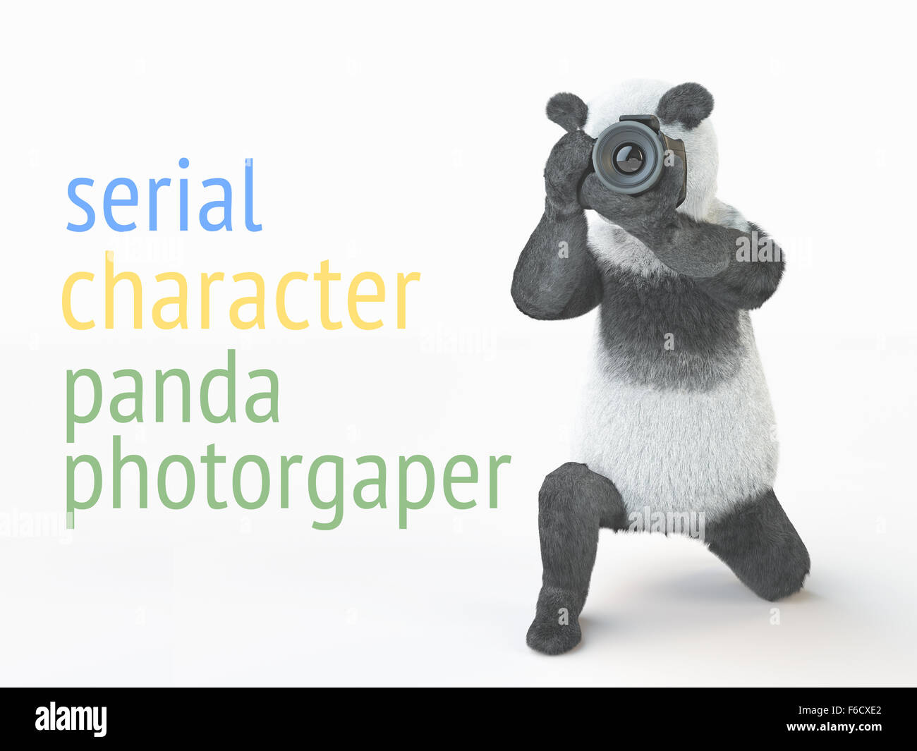 photographer panda teddy bear with camera sitting on one knee. character with camera in his paws and takes picture of empty spac Stock Photo