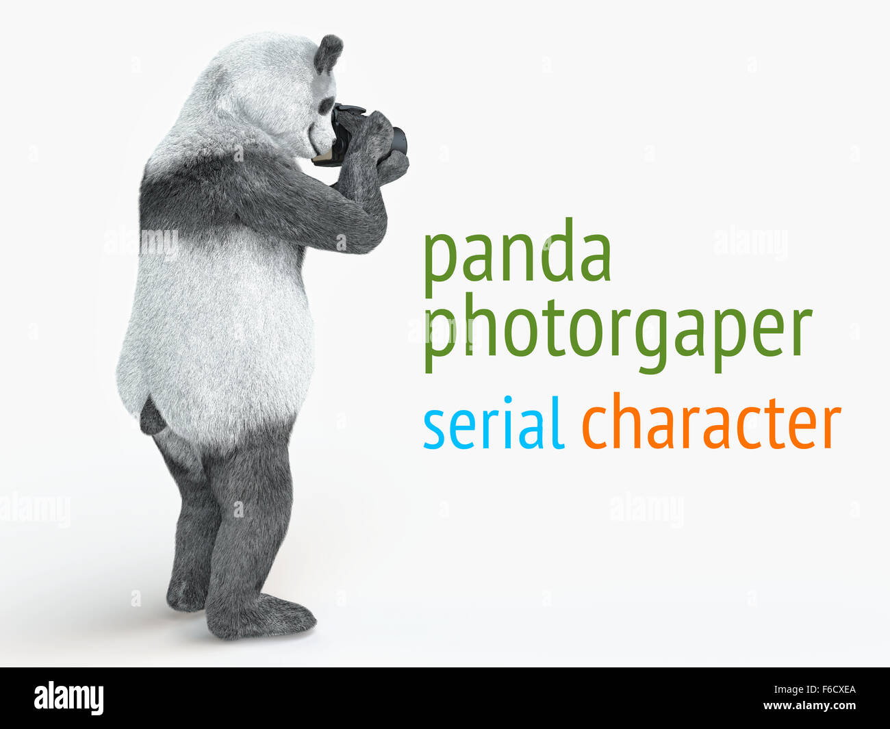 animal character photographer panda holding camera in paws and takes picture. serial bamboo bear at white homogeneous background Stock Photo