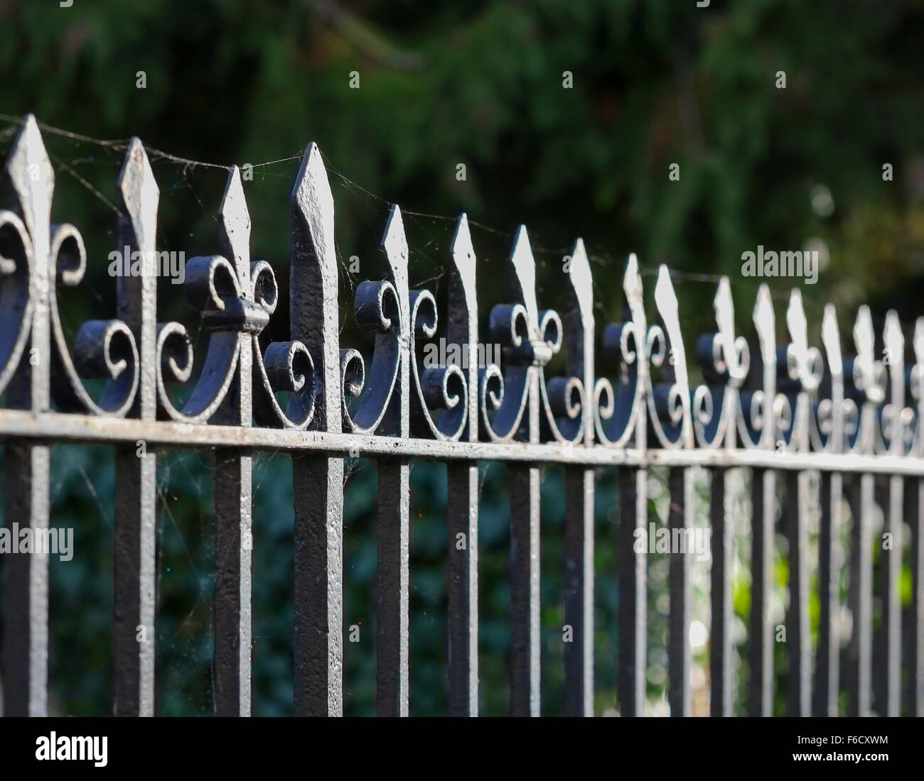 Black metal spiked decorative wrought iron fence at Holywell Cemetery