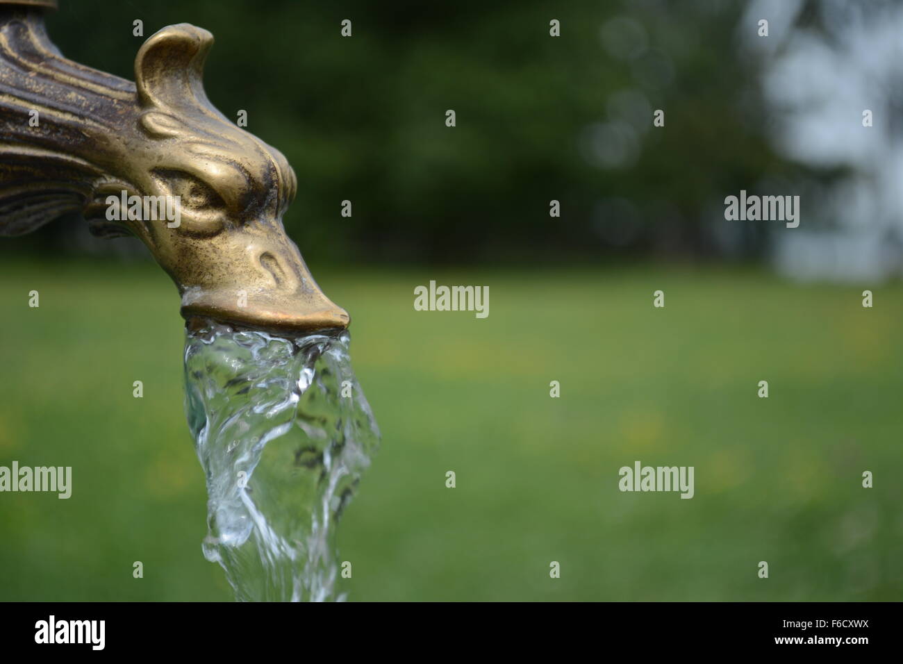 Brass dragon water tap in park with water to enjoy Stock Photo Alamy