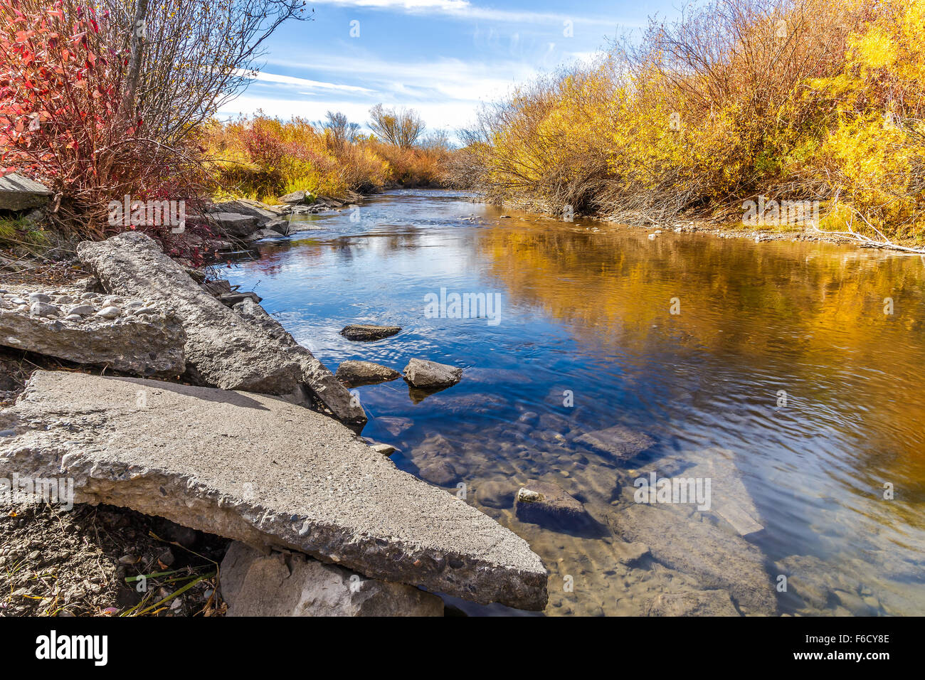 Cherry Creek running through the beautiful autumn landscape of Cherry Creek Nature Preserve on the outskirts of Bozeman, Montana Stock Photo