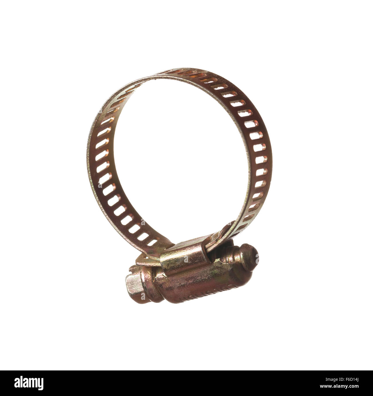 Isolated Hose Clamp, Studio Shooting, White Background Stock Photo