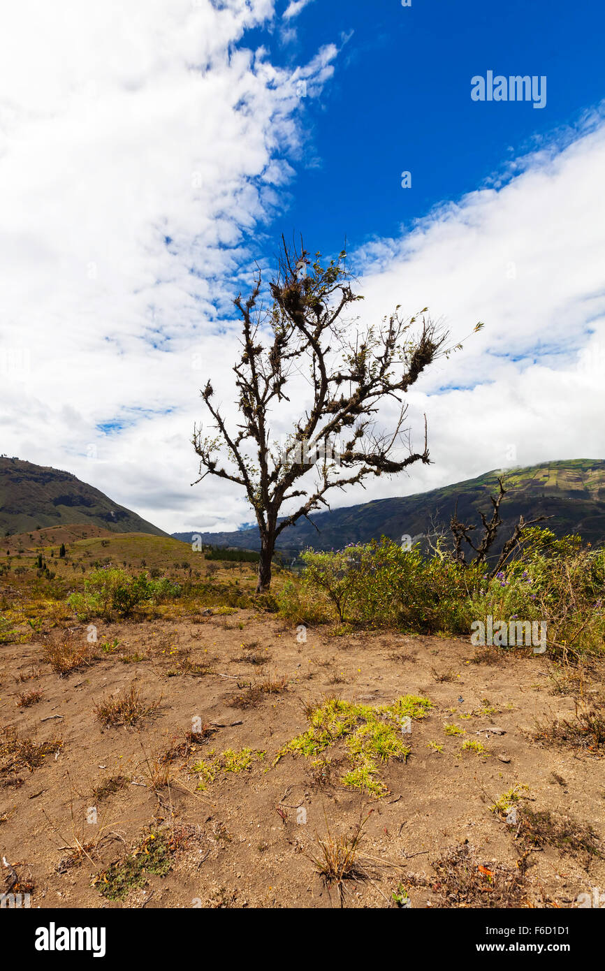 Andean mountain range hi-res stock photography and images - Alamy