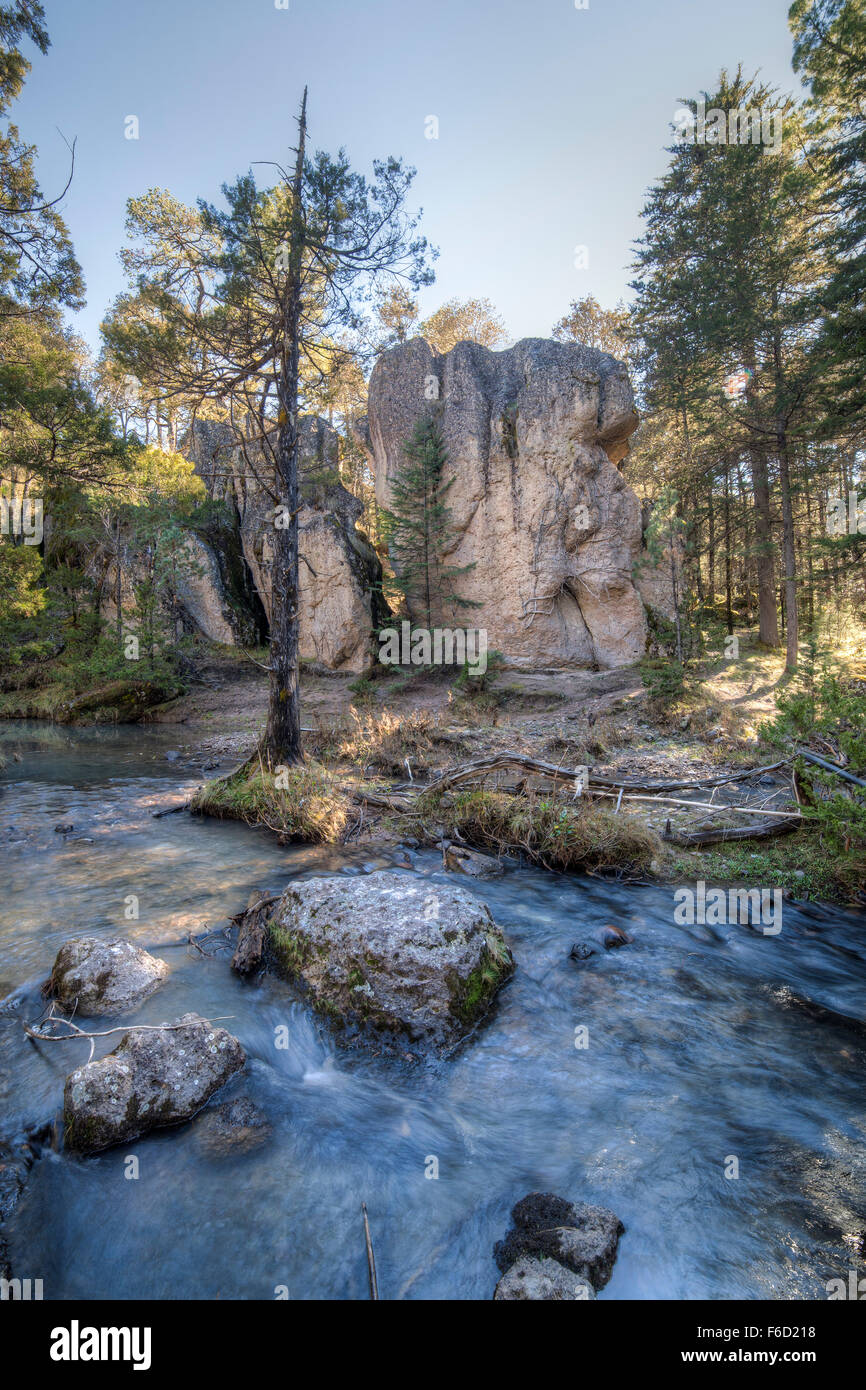 River and rock in the forest of Coscomate, Durango, Mexico. Stock Photo