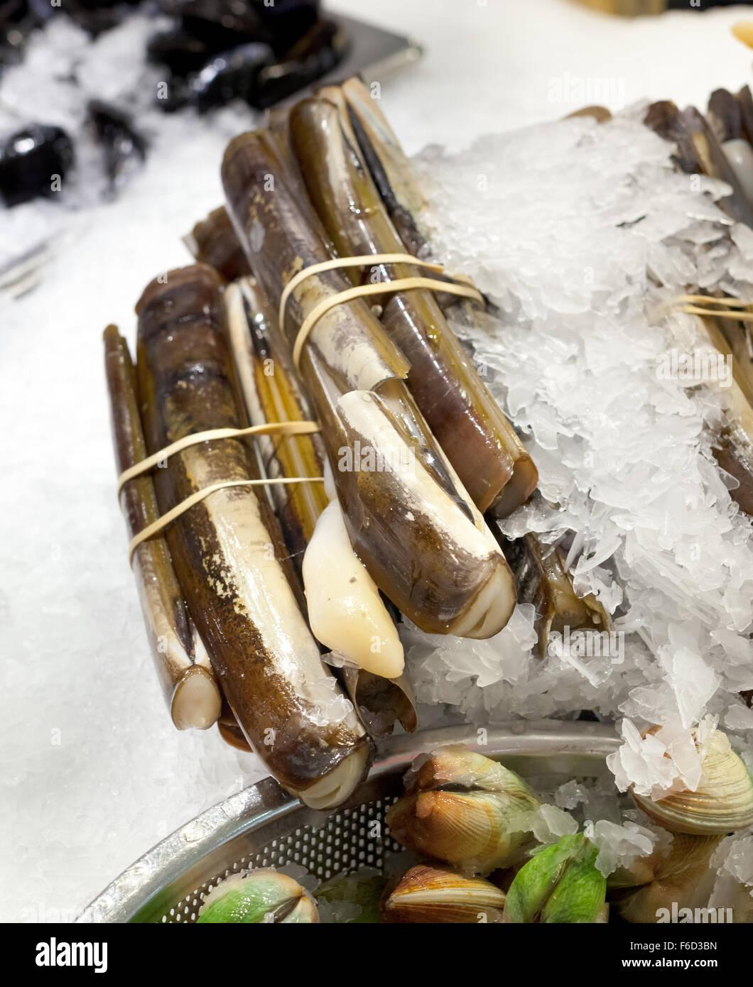 Razor clams on ice for sale at market Stock Photo Alamy