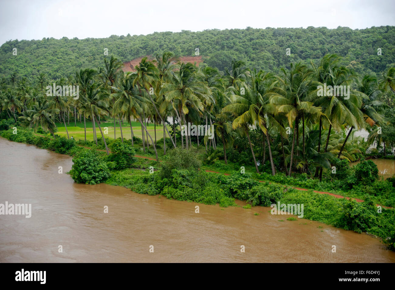 River karli, sindhudurg, maharashtra, india, asia Stock Photo