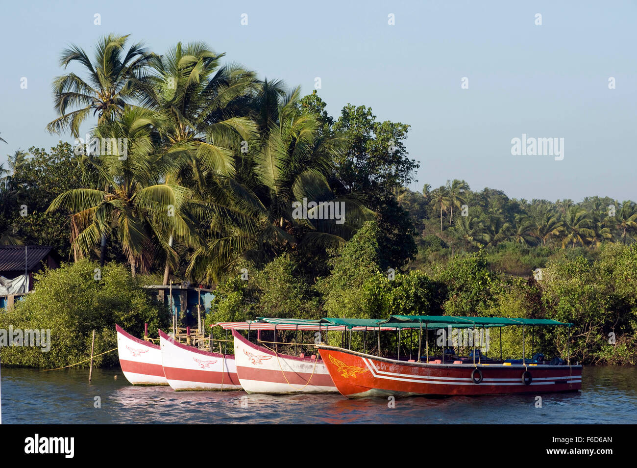 Boats in mandovi river, goa, india, asia Stock Photo