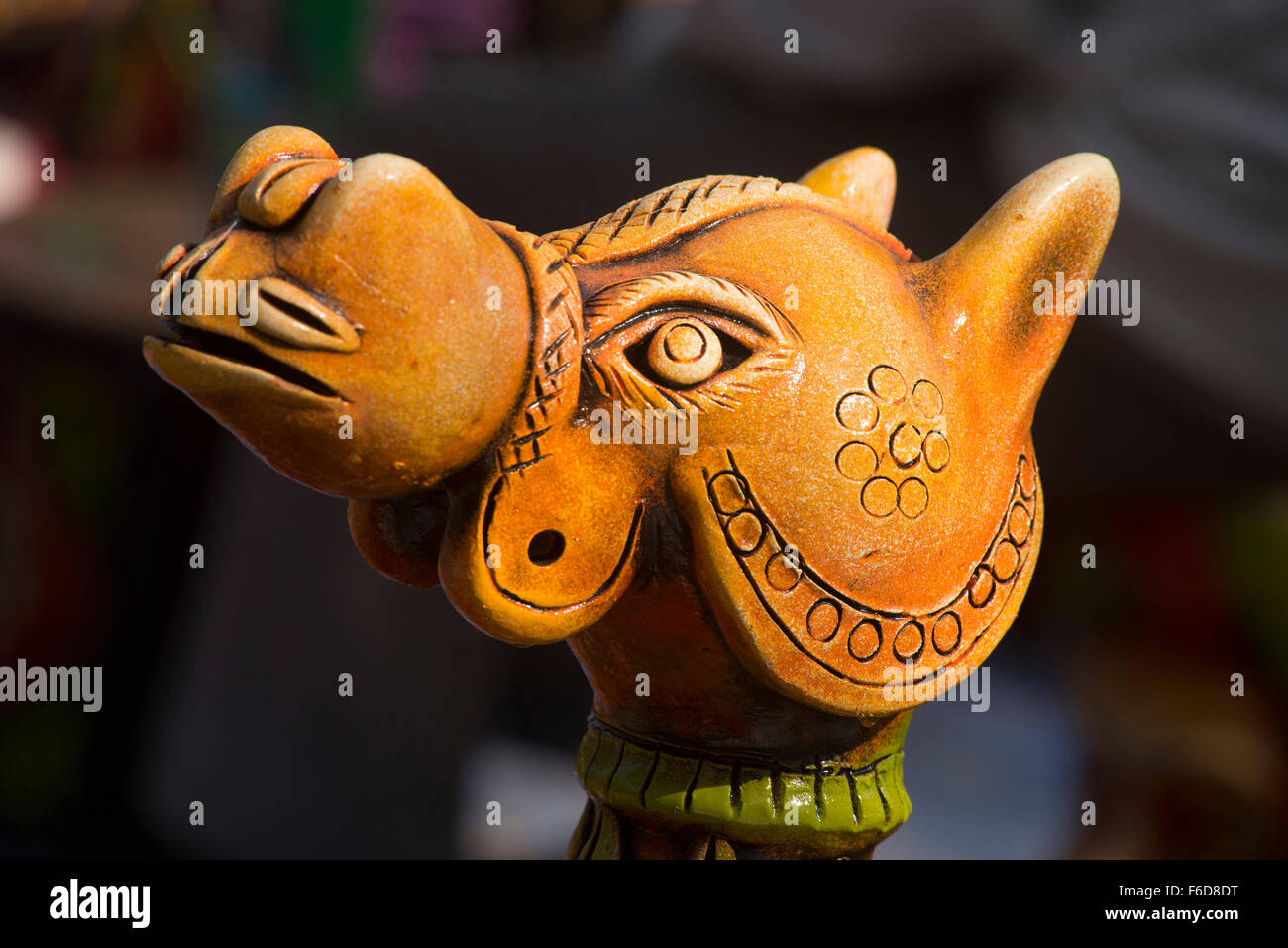 Head of camel kept for sale, surajkund mela, faridabad, haryana, india, asia Stock Photo