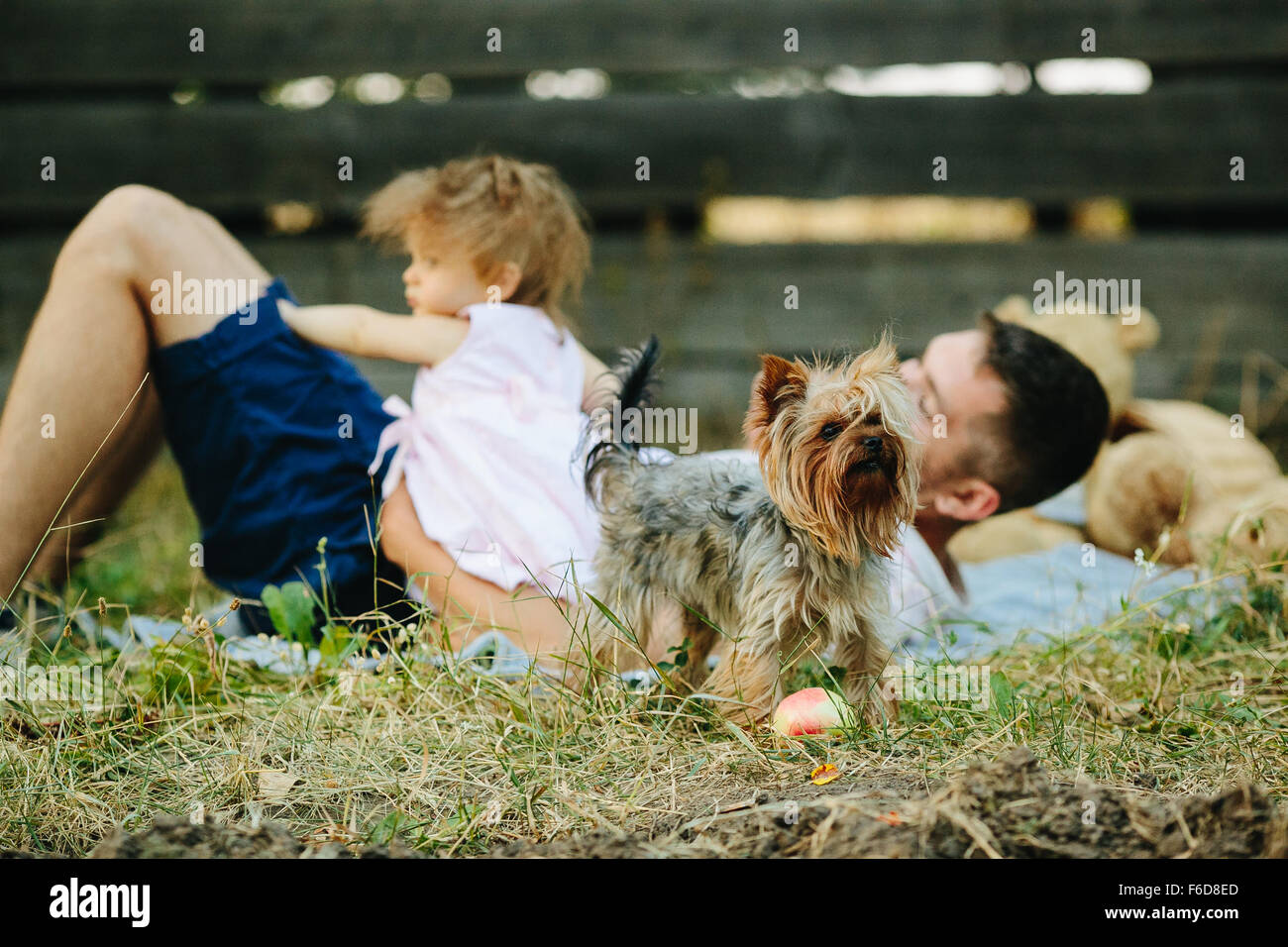 Happy family on lawn in the park Stock Photo - Alamy