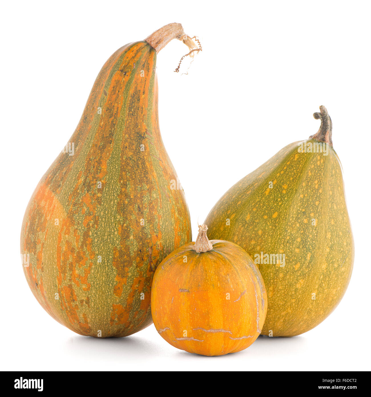 Pumpkins isolated on white background Stock Photo - Alamy