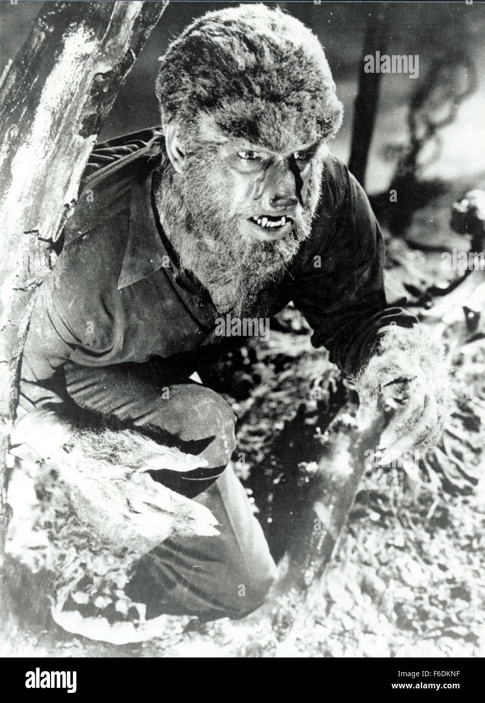 RELEASE DATE: December 12, 1941. MOVIE TITLE: The Wolf Man aka The ...
