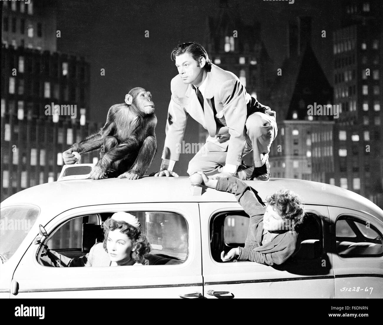Maureen Osullivan As Jane Stock Photos & Maureen Osullivan As Jane ...