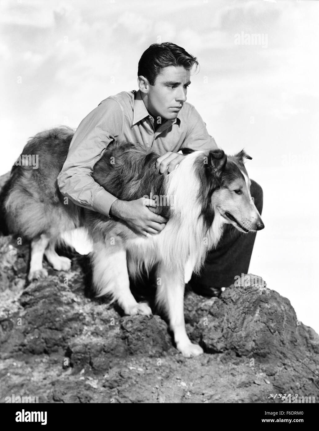 Son of Lassie (1945) - Turner Classic Movies