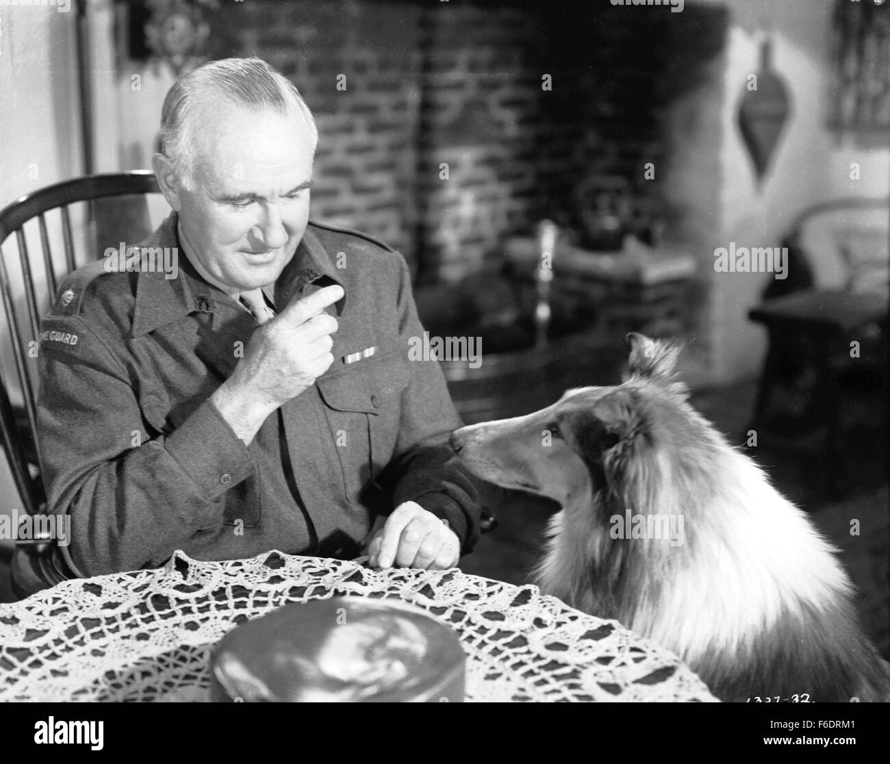 Son of Lassie (1945) - Turner Classic Movies