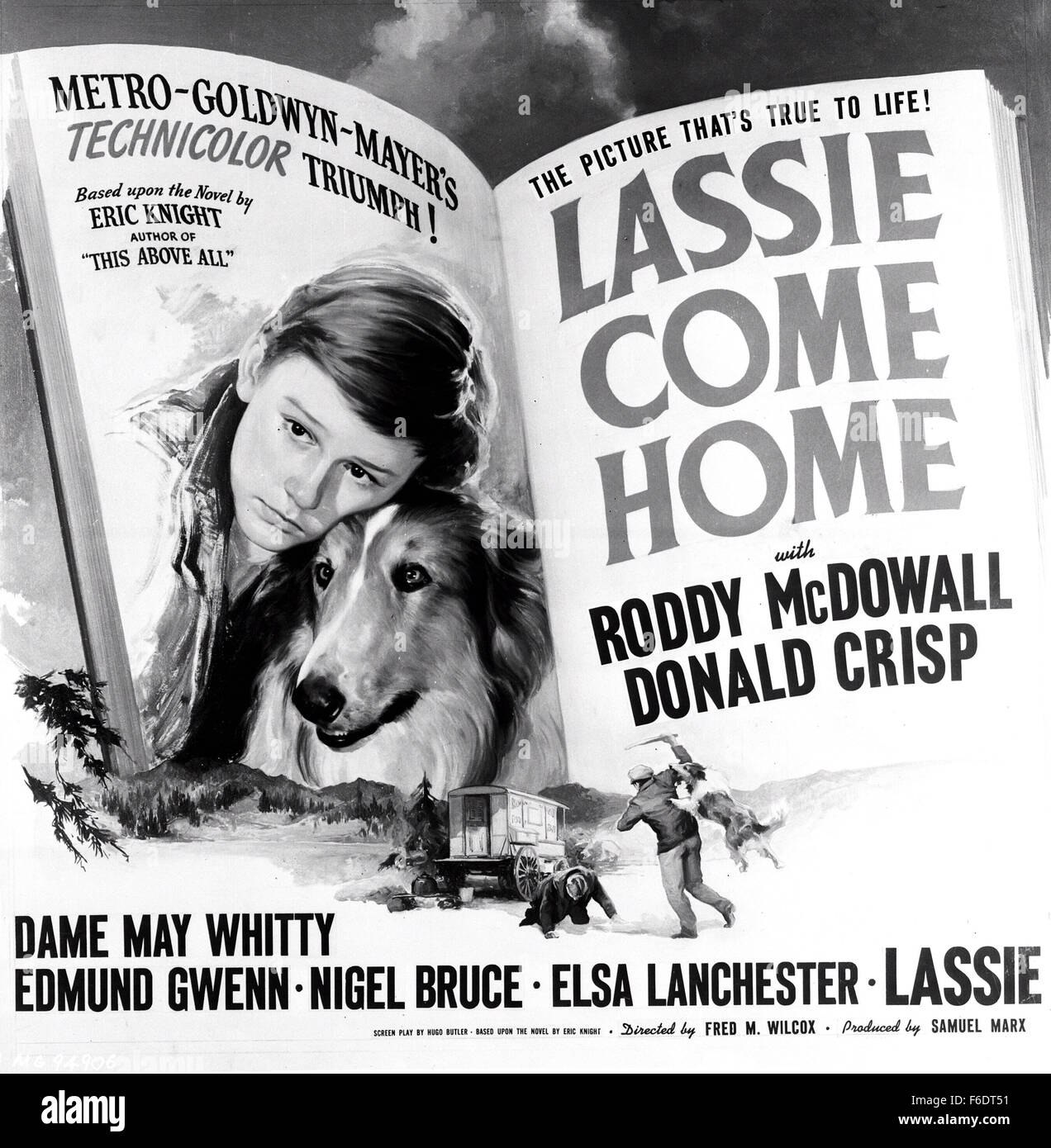 Lassie Come Home (1/10) Movie CLIP - Morning Routine (1943) HD