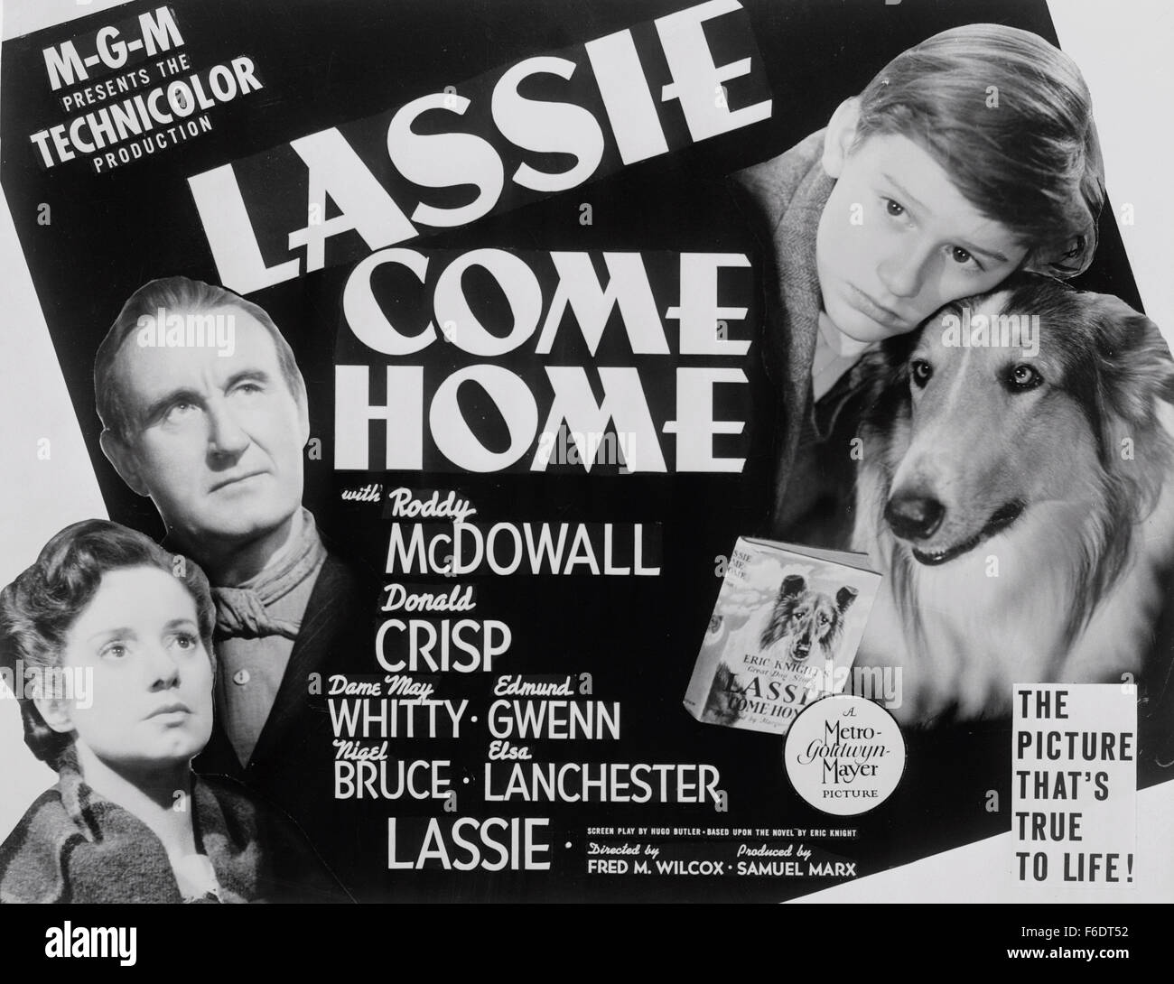 Lassie Come Home (1943 movie) - Vikidia, the encyclopedia for