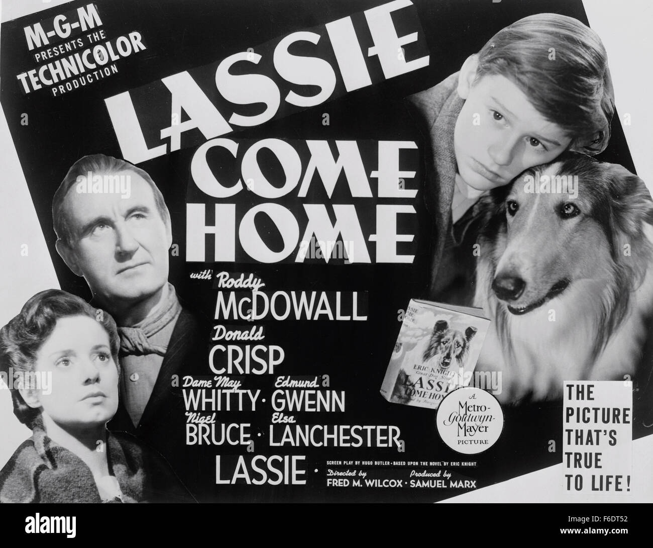 Lassie Come Home (1/10) Movie CLIP - Morning Routine (1943) HD