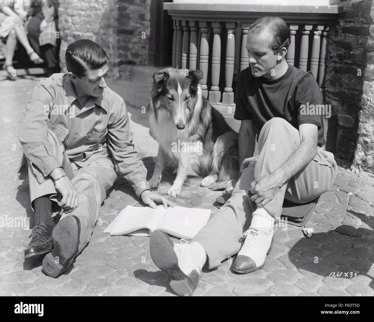 Lassie come home 1943 hi-res stock photography and images - Alamy
