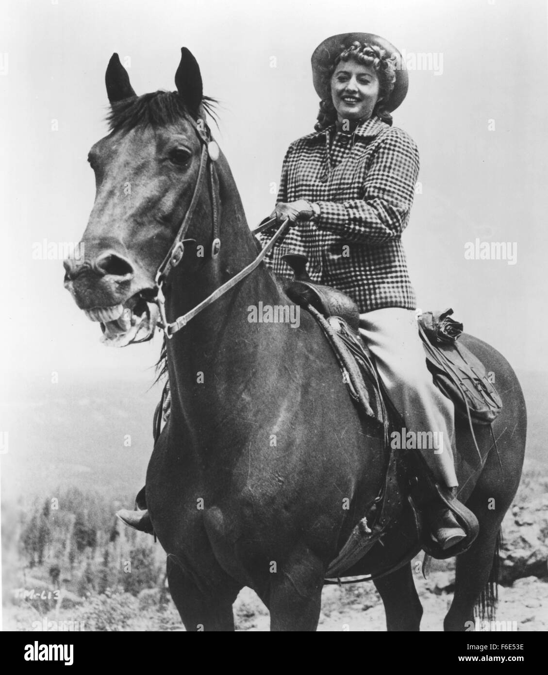 1953 movie hi-res stock photography and images - Alamy